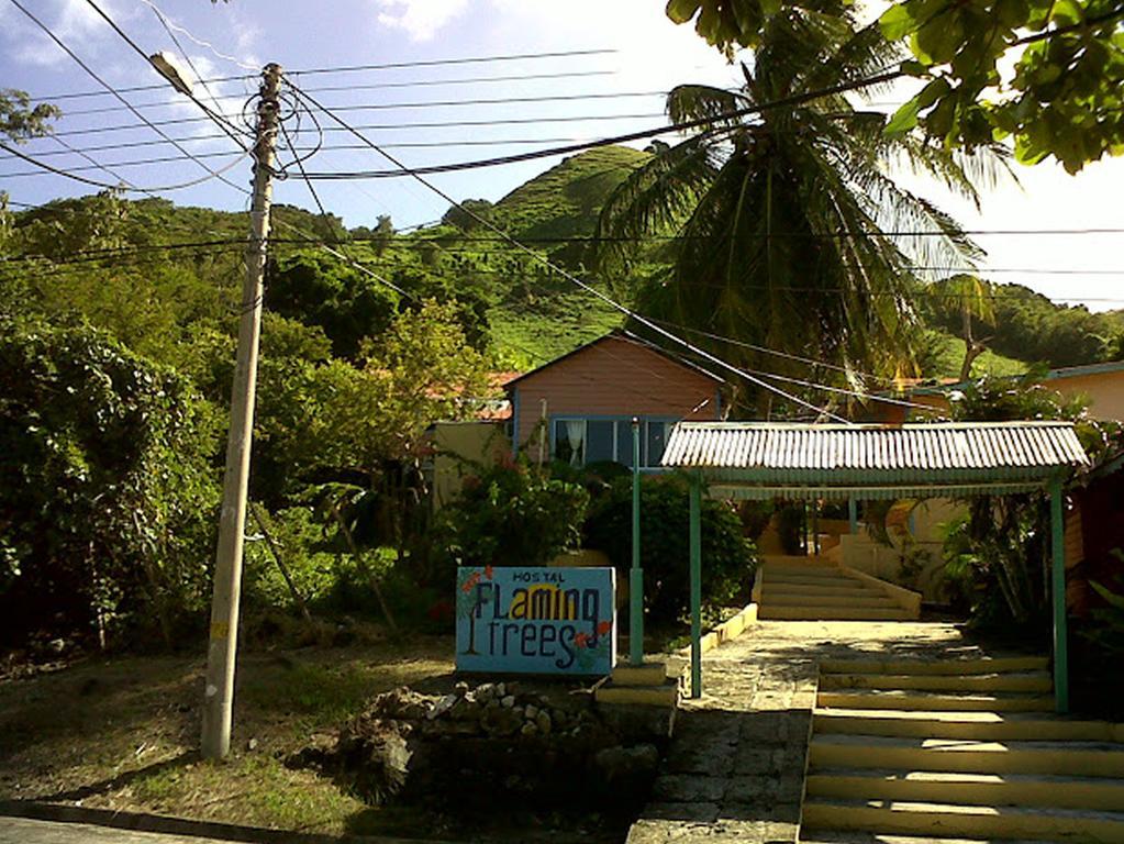 Hotel Flemming Tree Providencia Island Exteriör bild