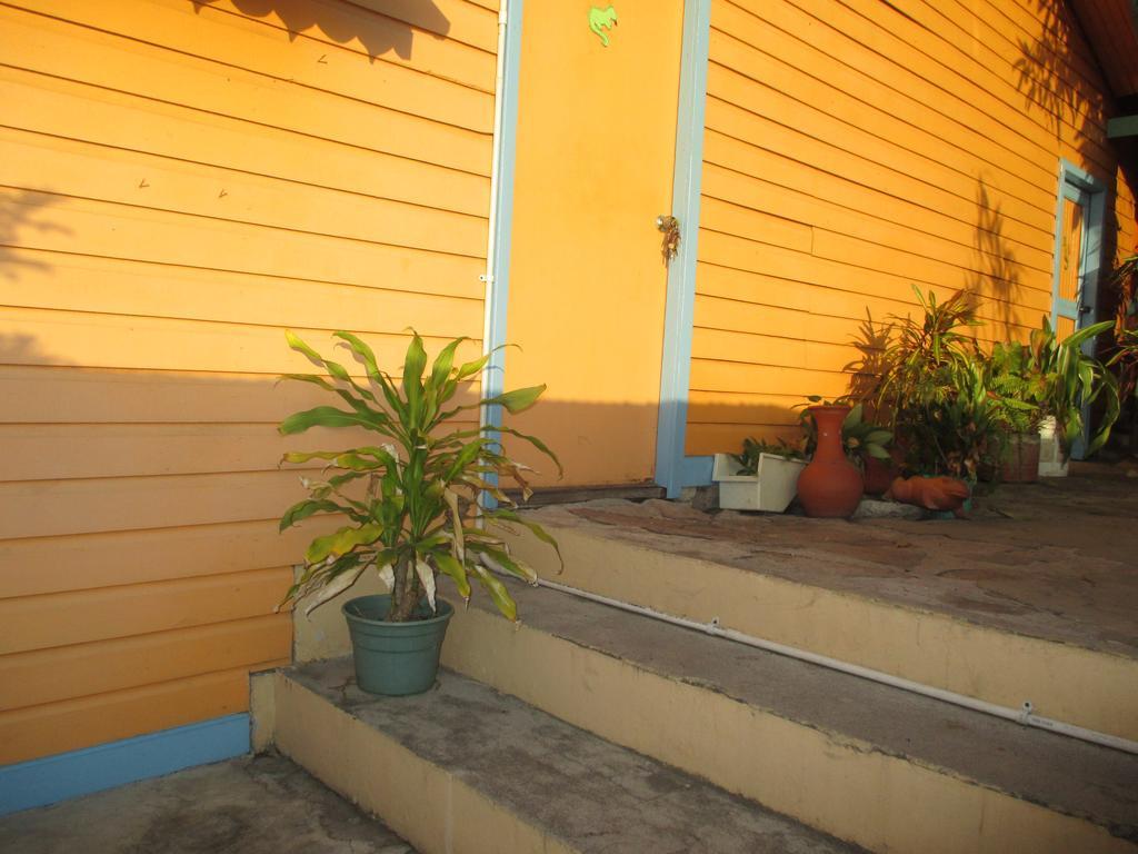 Hotel Flemming Tree Providencia Island Exteriör bild