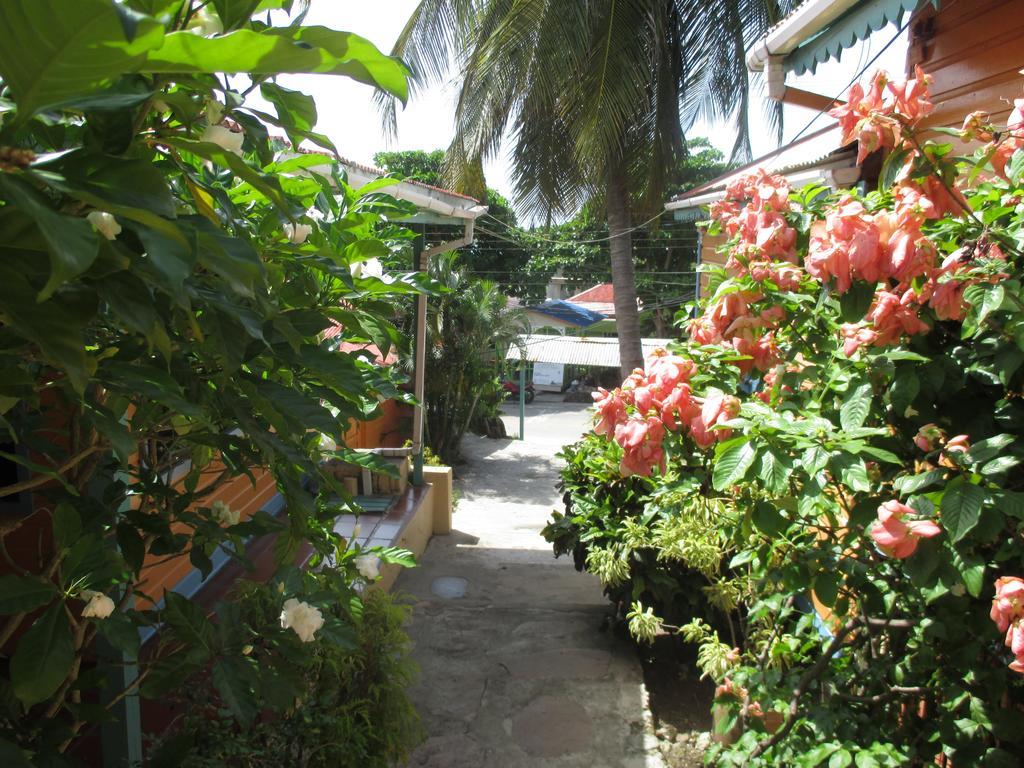 Hotel Flemming Tree Providencia Island Exteriör bild