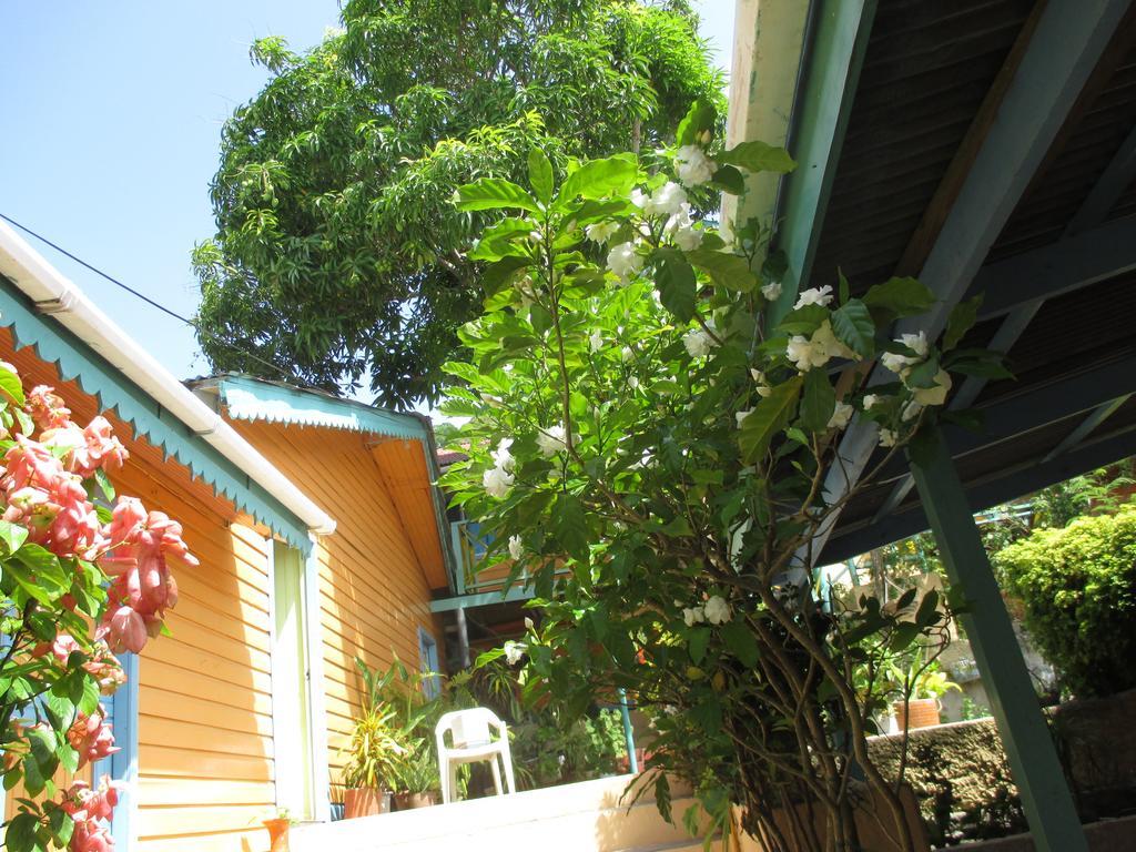 Hotel Flemming Tree Providencia Island Exteriör bild
