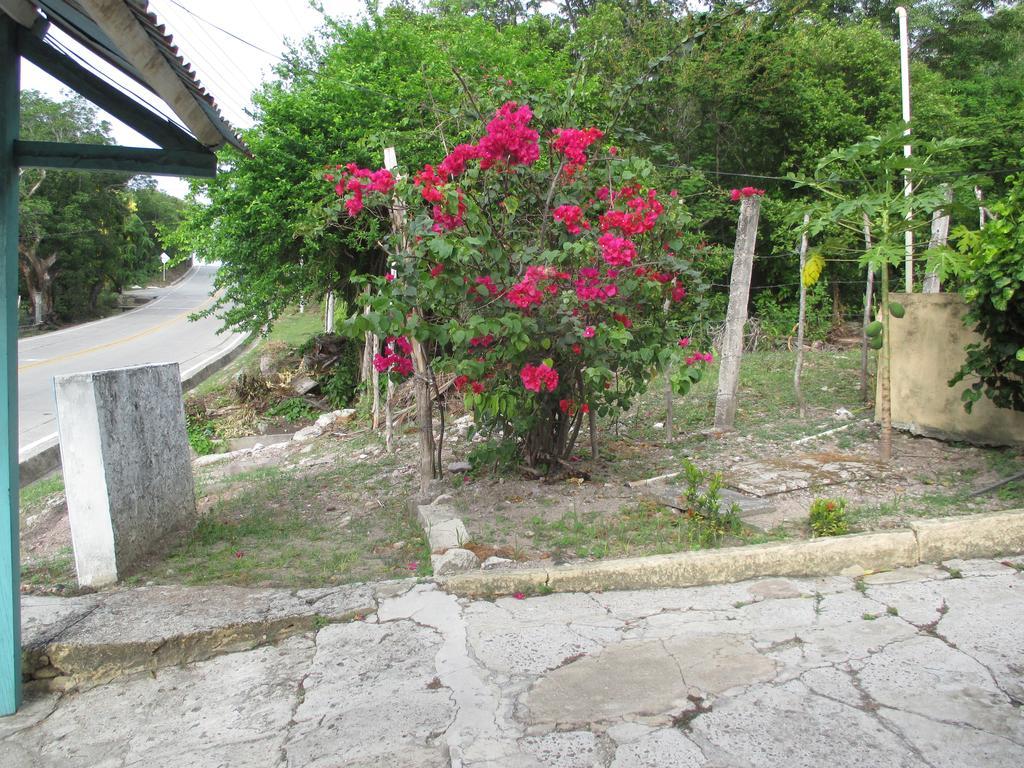 Hotel Flemming Tree Providencia Island Exteriör bild