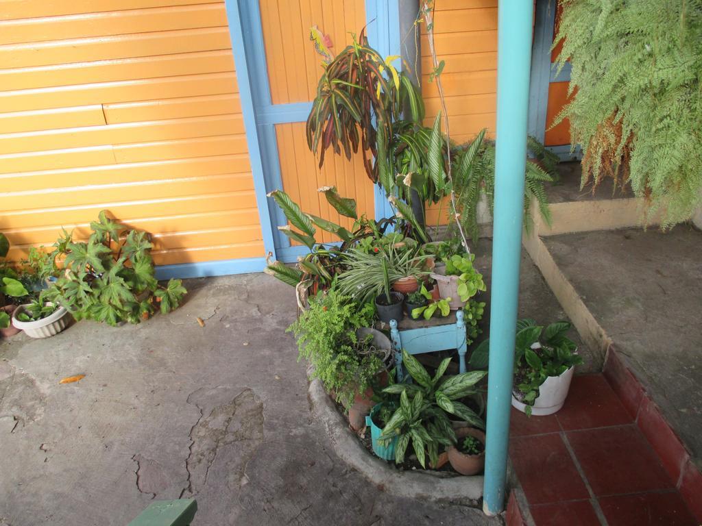 Hotel Flemming Tree Providencia Island Exteriör bild