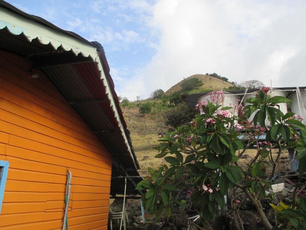 Hotel Flemming Tree Providencia Island Exteriör bild