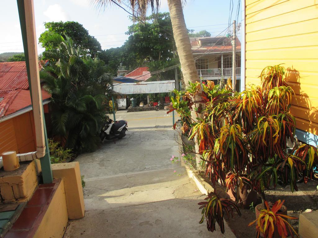 Hotel Flemming Tree Providencia Island Exteriör bild