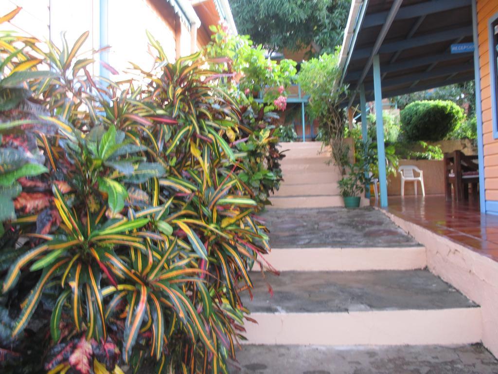Hotel Flemming Tree Providencia Island Exteriör bild