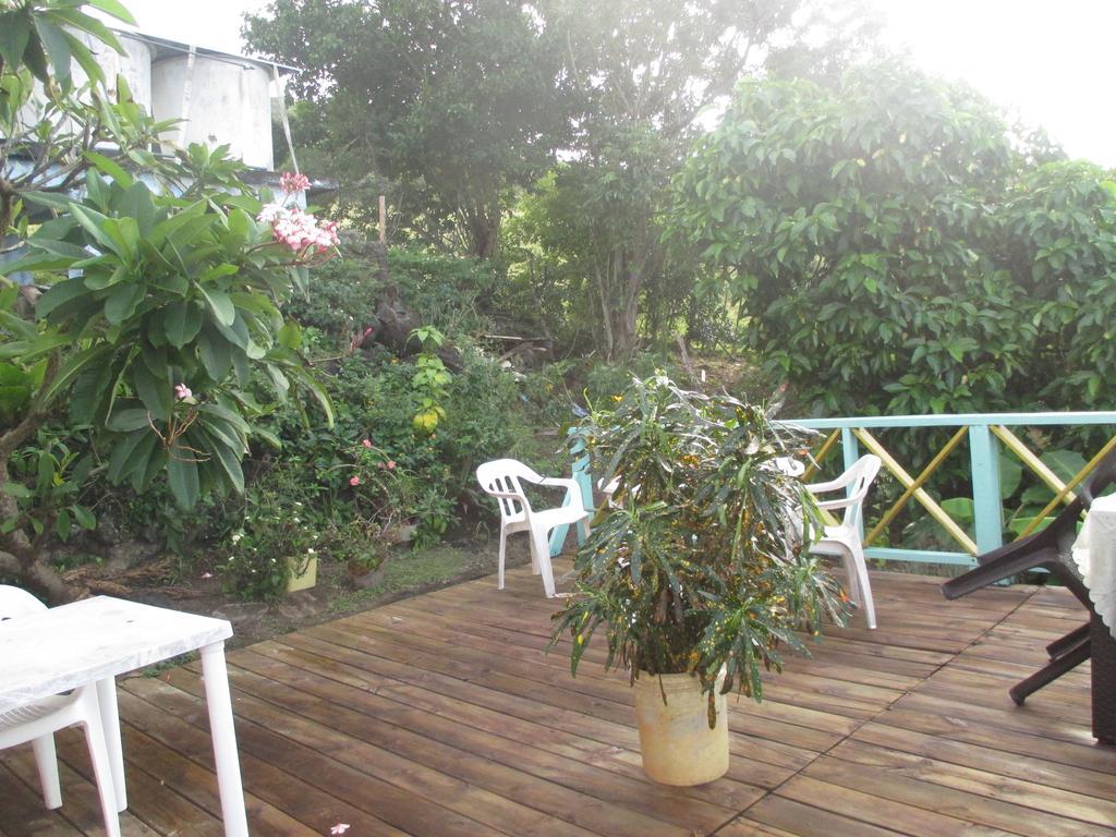 Hotel Flemming Tree Providencia Island Exteriör bild