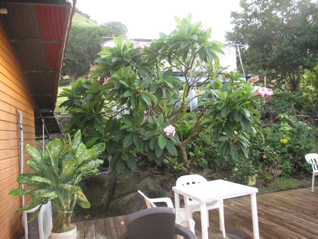 Hotel Flemming Tree Providencia Island Exteriör bild